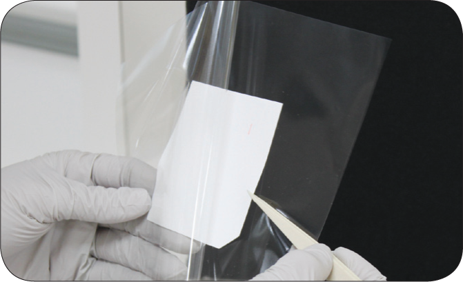 Transparent plastic supports for blot handling and imaging