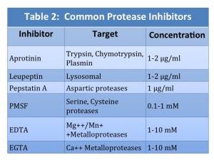 common-protease-inhibitors